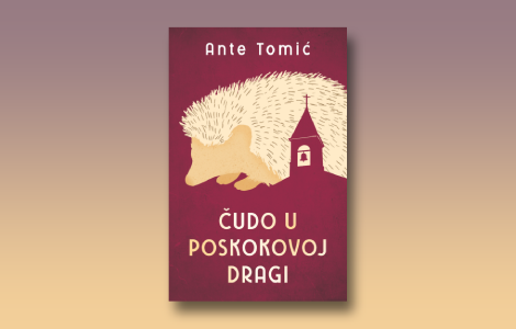 prikaz romana čudo u poskokovoj dragi dobitna kombinacija bez pogovora laguna knjige